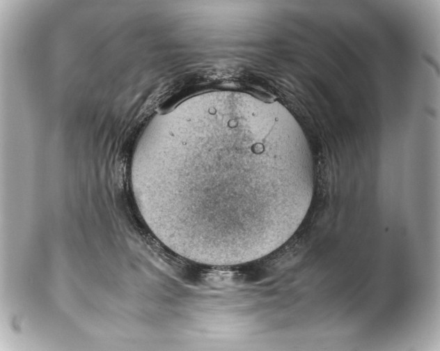 X0000102270227200808151911