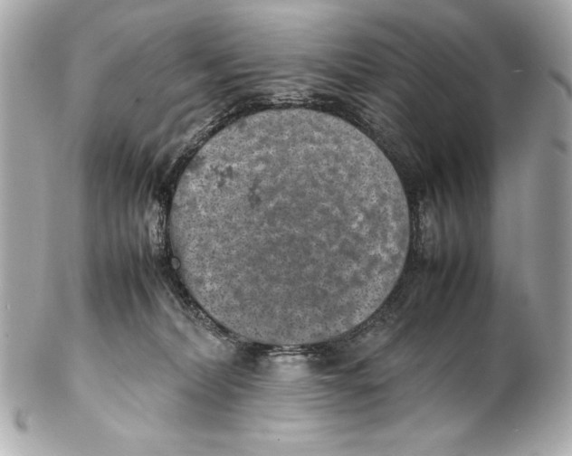 X0000102270228200808151911