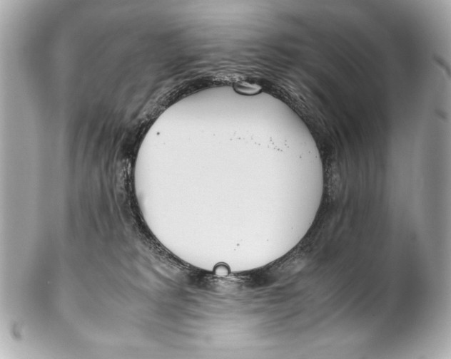 X0000102270229200808151911