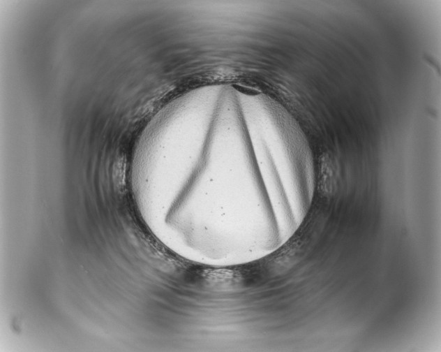 X0000102270230200808151911