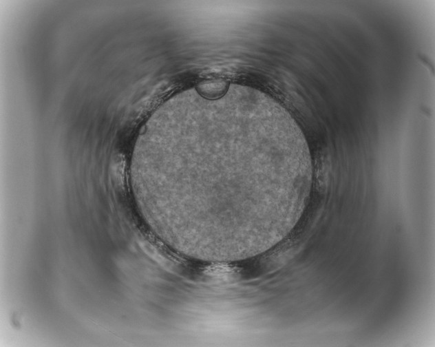 X0000102270231200808151911