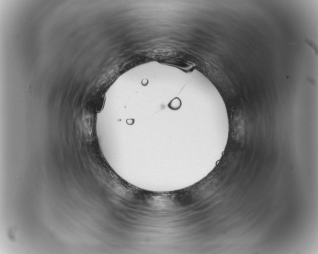 X0000102270232200808151911