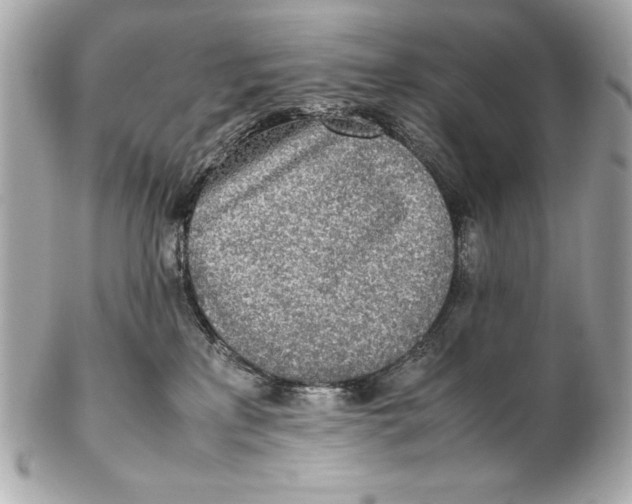 X0000102270233200808151911