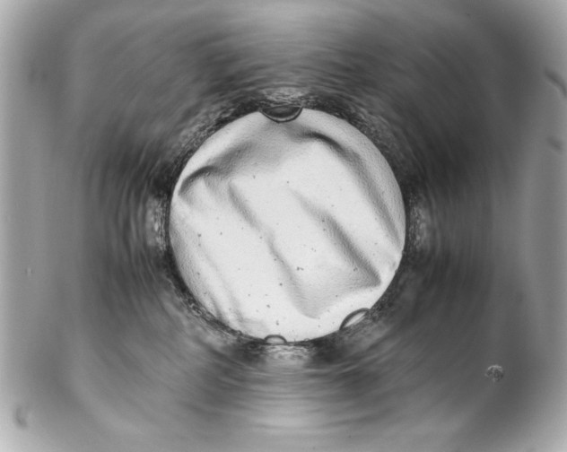 X0000102270234200808151911