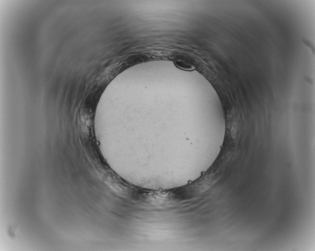 X0000102270235200808151911