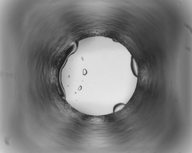 X0000102270236200808151911