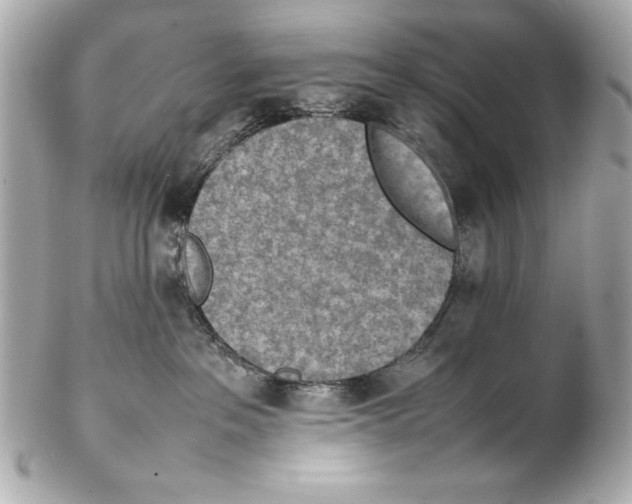 X0000102270237200808151911