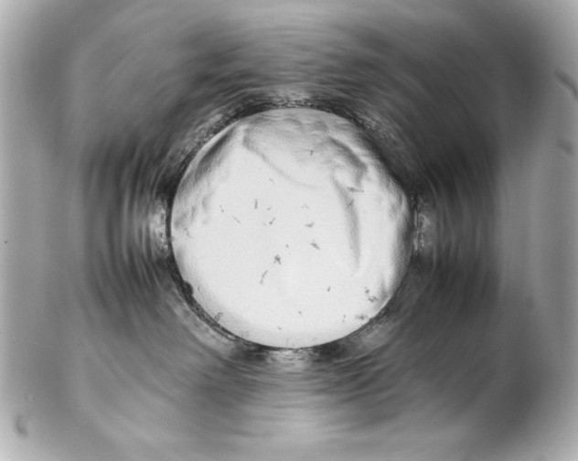 X0000102270238200808151911