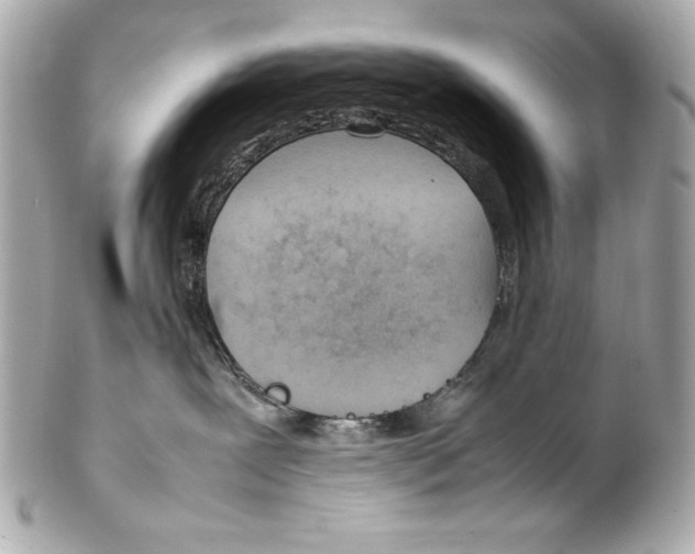 X0000102270239200808151911