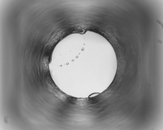 X0000102270240200808151911