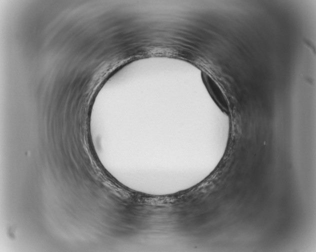 X0000102270241200808151911