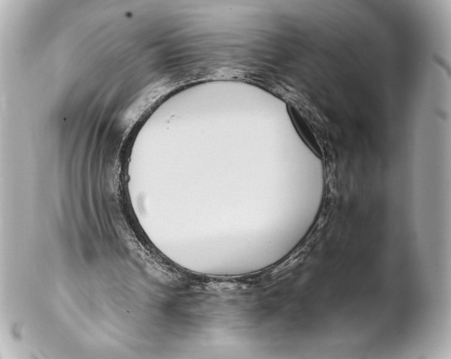 X0000102270242200808151911