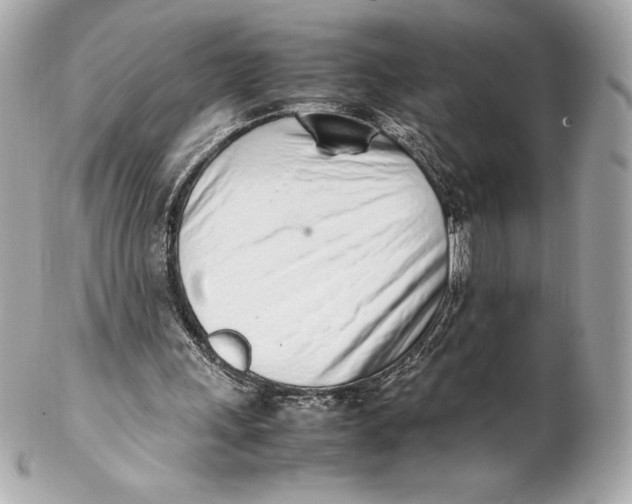 X0000102270243200808151911