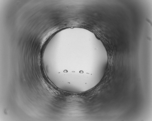 X0000102270244200808151911