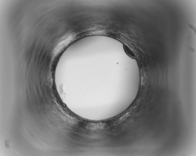 X0000102270245200808151911