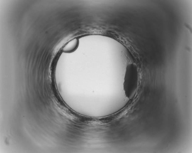 X0000102270246200808151911