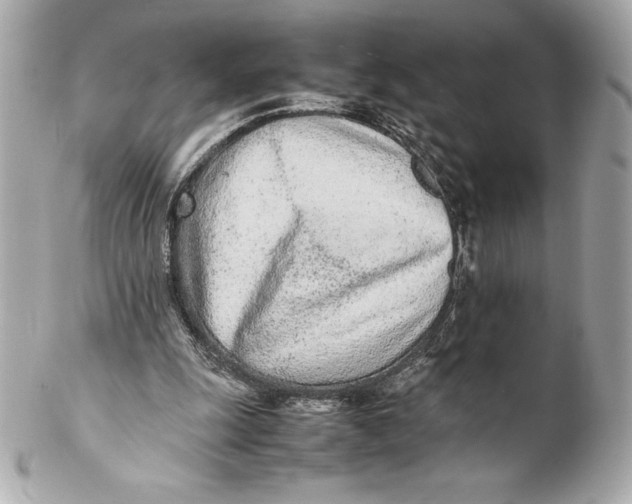 X0000102270247200808151911