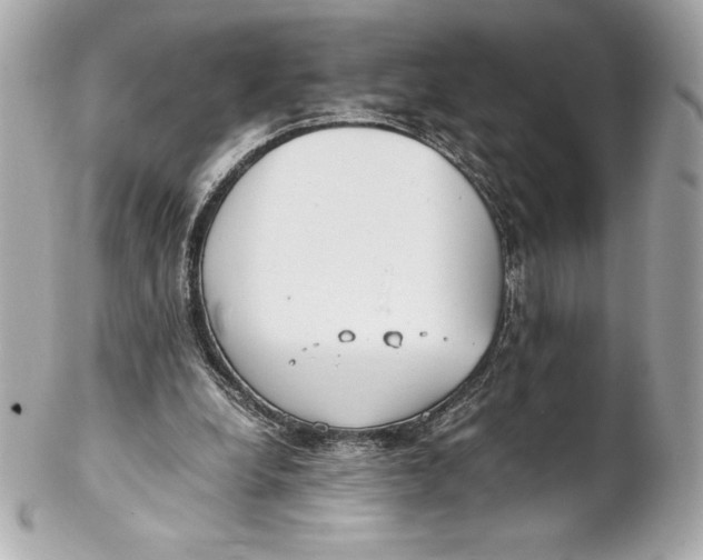 X0000102270248200808151911