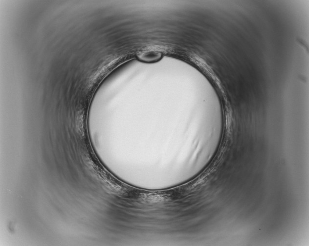 X0000102270249200808151911