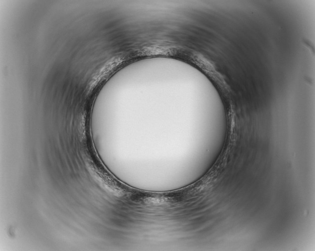 X0000102270250200808151911