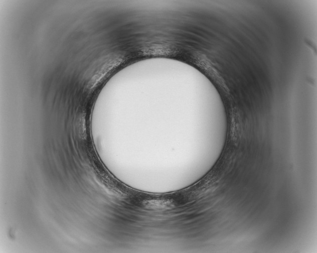 X0000102270251200808151911