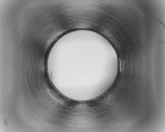 X0000102270252200808151911