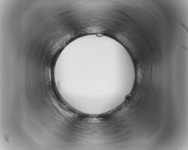 X0000102270254200808151911