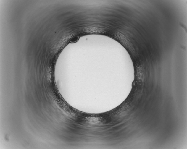 X0000102270255200808151911