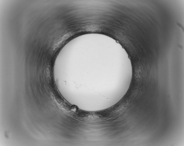 X0000102270256200808151911