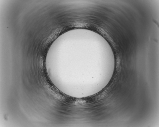 X0000102270257200808151911