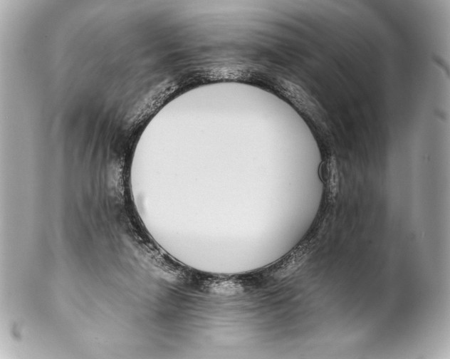 X0000102270258200808151911