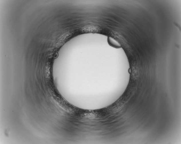 X0000102270259200808151911