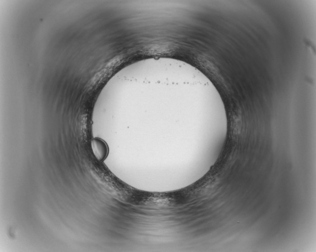 X0000102270260200808151911