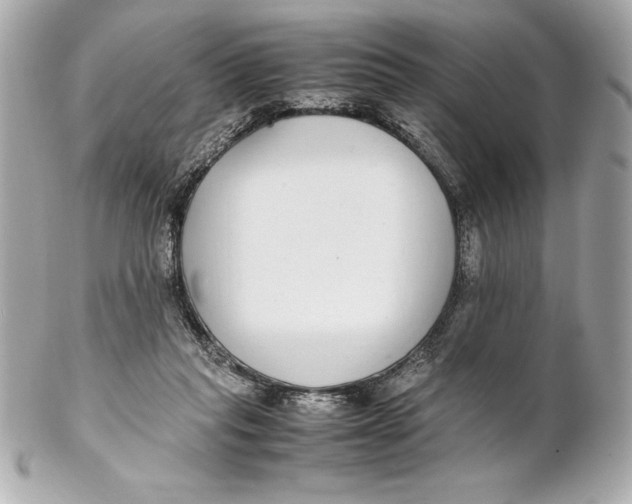 X0000102270261200808151911