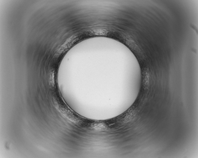 X0000102270262200808151911