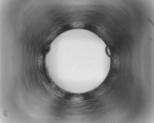 X0000102270263200808151911