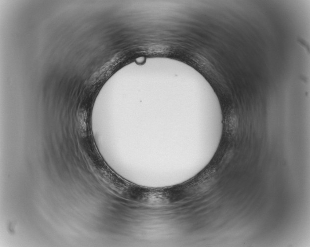 X0000102270264200808151911