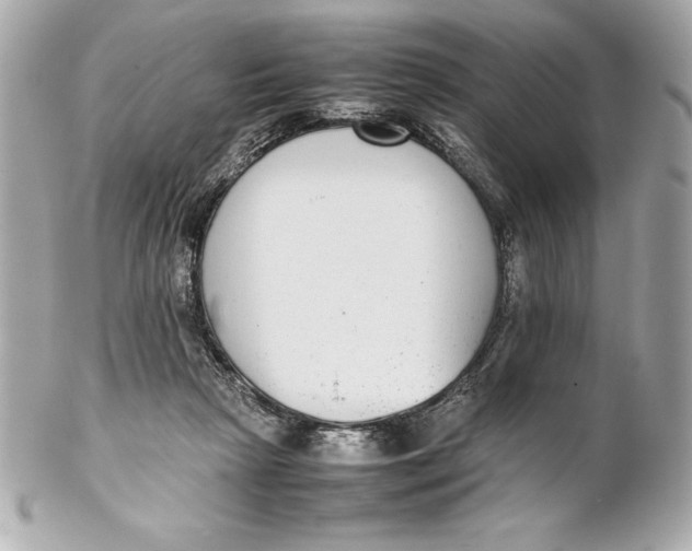 X0000102270265200808151911