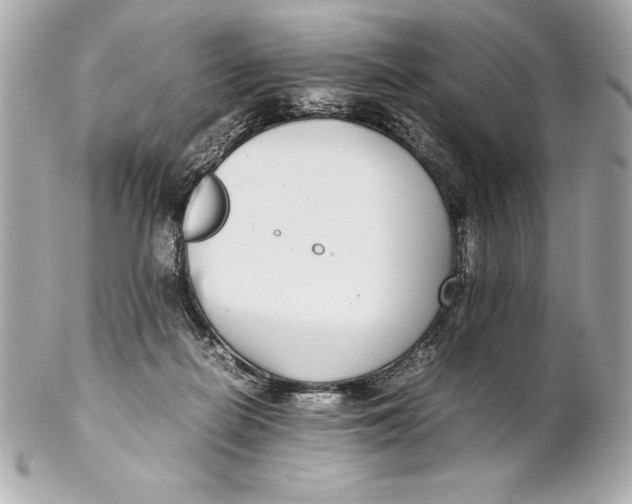 X0000102270266200808151911