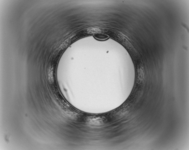 X0000102270267200808151911