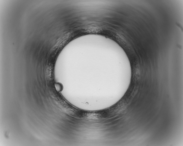 X0000102270268200808151911