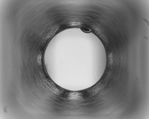 X0000102270269200808151911