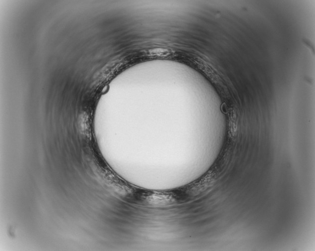 X0000102270270200808151911