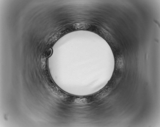 X0000102270271200808151911