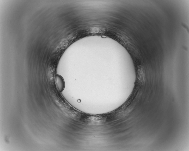 X0000102270272200808151911