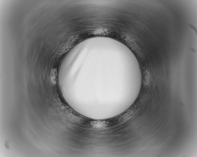 X0000102270273200808151911