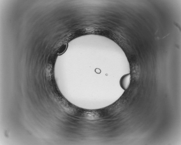 X0000102270275200808151911