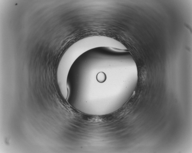 X0000102270276200808151911