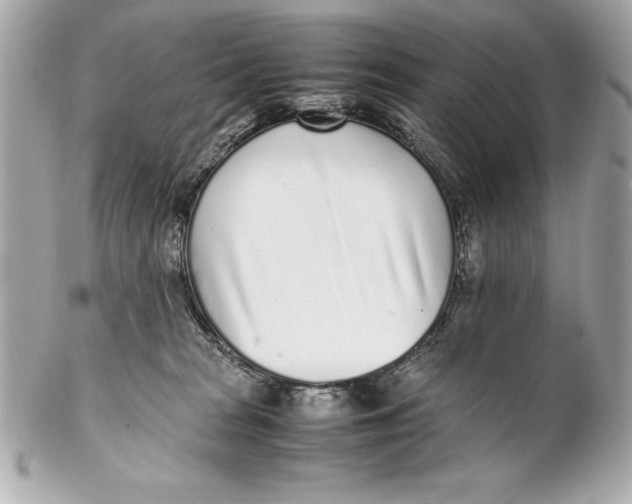 X0000102270277200808151911