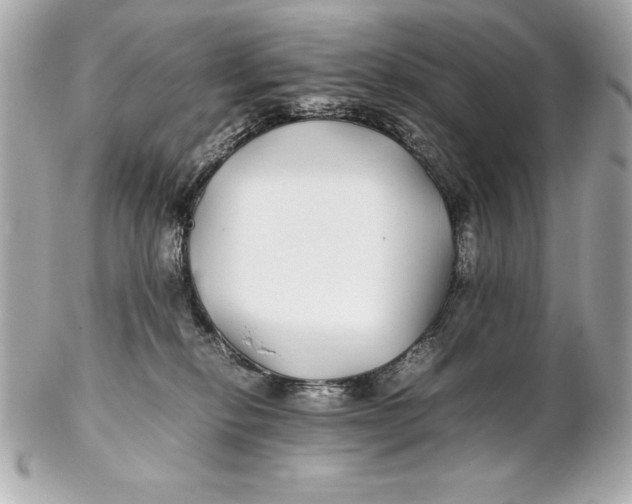 X0000102270278200808151911